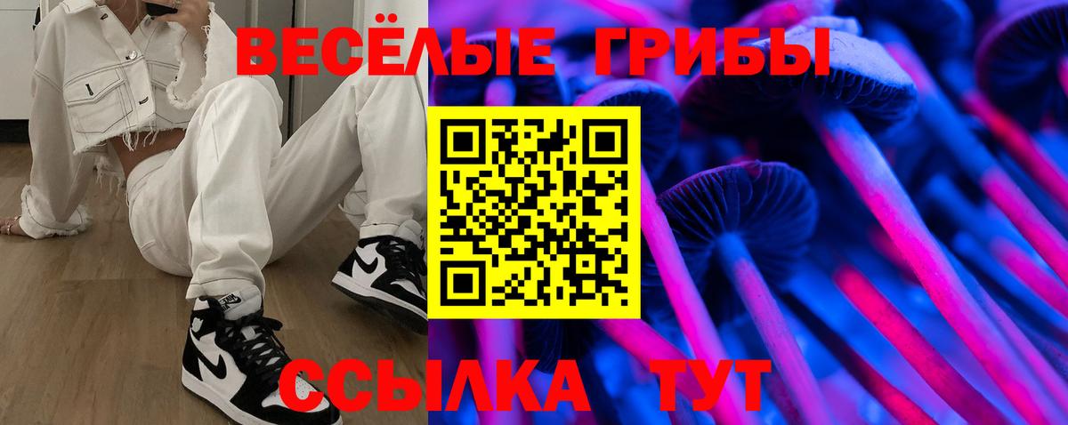 Орск  Псилоцибиновые грибы Psilocybe  Псилоцибиновые грибы мицелий  Вход с VPN 